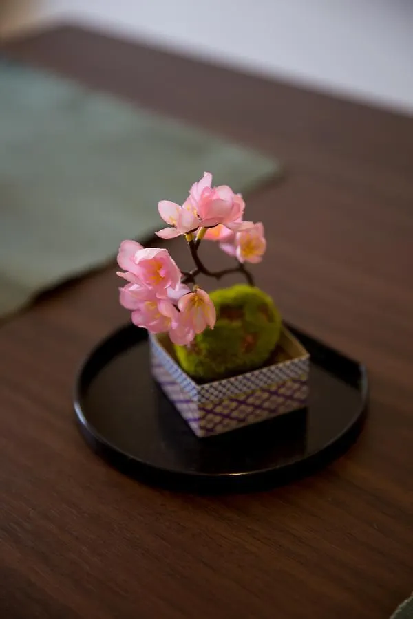 Serenite Nihonbashi Hotel Osaka Apartment